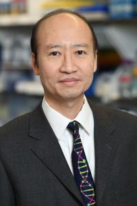 Stephen H Tsang, MD, PhD Profile Headshot